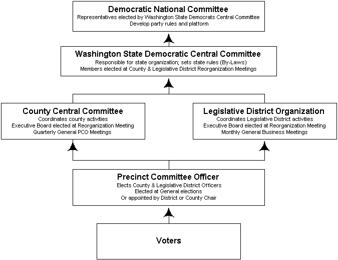 The Democratic Party Structure